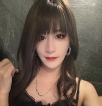 Cd18 Cm - Acompañantes transexual in Singapore