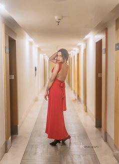 Celeb Mallu Shemale Direct&Video Service - Transsexual escort in Kochi Photo 10 of 11