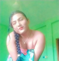 Celena - Transsexual escort in Colombo