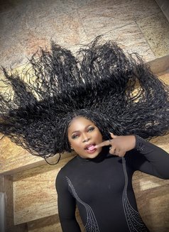 Celess - Transsexual escort in Accra Photo 12 of 14