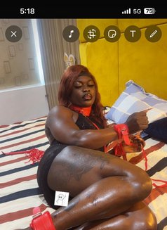 Celess - Transsexual escort in Accra Photo 14 of 14