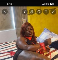 Celess - Transsexual escort in Accra