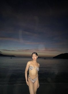 Celestine/cum Show / Content - Transsexual escort in Manila Photo 8 of 14