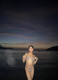 Celestine/cum Show / Content - Transsexual escort in Manila Photo 9 of 14