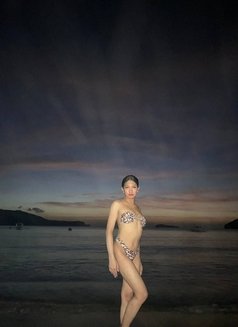 Celestine/cum Show / Content - Transsexual escort in Manila Photo 10 of 14