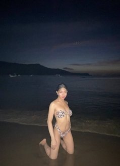 Celestine/cum Show / Content - Transsexual escort in Manila Photo 12 of 14
