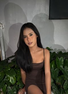 Celia hot tan skin girls best service - escort in Bali Photo 7 of 12