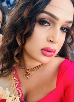 Gorgeous Top /Bottom Ts Hima Menon mallu - Transsexual escort in Kochi Photo 7 of 20