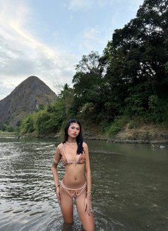 Celina - Acompañantes transexual in Manila Photo 5 of 8