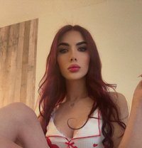 Celine Bottom - Transsexual escort in Montreal