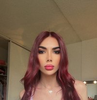 Celine Bottom - Transsexual escort in Montreal