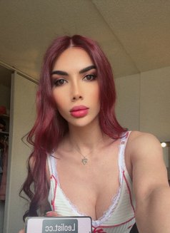 Celine Bottom - Transsexual escort in Montreal Photo 4 of 8