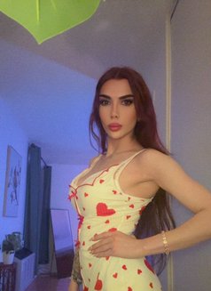 Celine Bottom - Transsexual escort in Montreal Photo 7 of 8