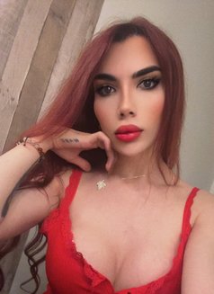 Celine Bottom - Acompañantes transexual in Montreal Photo 9 of 9