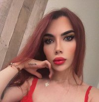 Celine Bottom - Transsexual escort in Montreal