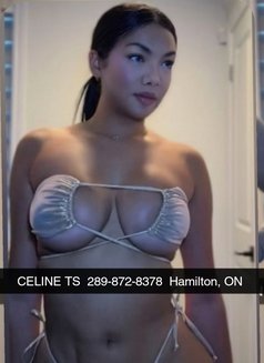 Celine - escort in Hamilton, Canada Photo 10 of 13