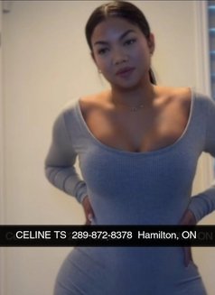 Celine - escort in Hamilton, Canada Photo 11 of 13
