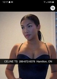 Celine - escort in Hamilton, Canada Photo 12 of 13