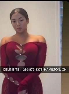 Celine - escort in Hamilton, Canada Photo 13 of 13