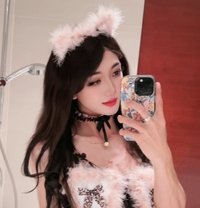 Celine - Transsexual escort in Guangzhou