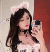 Celine - Transsexual escort in Guangzhou