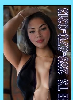 Celine Erotic Massage Brantford new# - escort in Brantford Photo 5 of 8