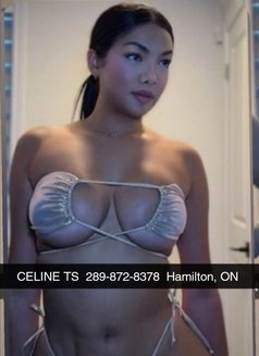 Celine Erotic Massage Brantford new# - escort in Brantford Photo 6 of 11