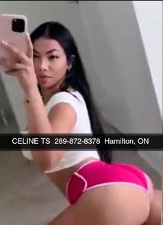 Celine Erotic Massage Brantford new# - escort in Brantford Photo 10 of 11
