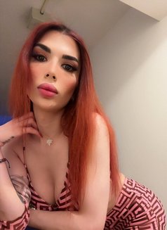 Celine - Transsexual escort in Montreal Photo 10 of 10