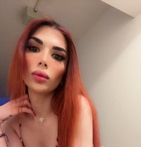 Celine - Acompañantes transexual in Montreal