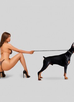 Céline LeBlanc - escort in Zürich Photo 7 of 17