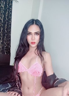 Im sexy star from Sukhumvit11 Thailand - Transsexual escort in Al Manama Photo 5 of 6