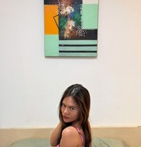 Celine Premium New in Bali - puta in Bali