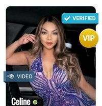 Celine Toronto Massage - puta in Mississauga