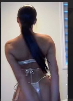 Celine TS GFE ,massage bbbj - puta in Hamilton, Canada Photo 8 of 8