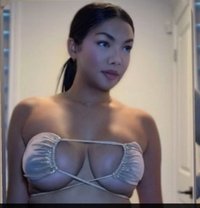 Celine TS GFE ,massage bbbj - puta in Hamilton, Canada