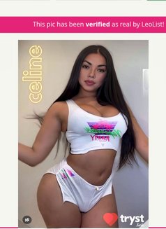 Celine TS GFE ,massage bbbj - puta in Hamilton, Canada Photo 13 of 16