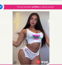 Celine TS GFE ,massage bbbj - escort in Hamilton, Canada