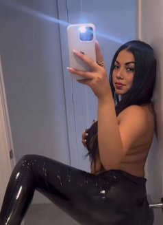 Celine TS GFE ,massage bbbj - puta in Hamilton, Canada Photo 17 of 19