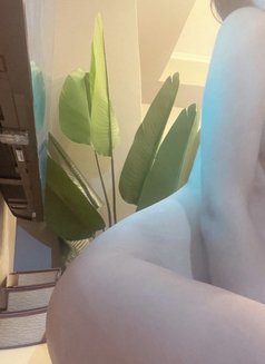 Celine - escort in Dubai Photo 11 of 29