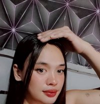 Celineforcumshow - Acompañantes transexual in Manila