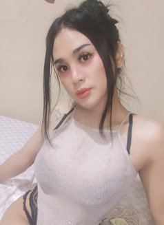 Celline Ladyboy Top Bigdick Jakarta - Acompañantes transexual in Jakarta Photo 3 of 4