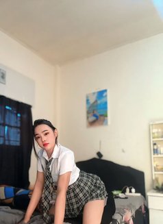Cencen Liem - Transsexual escort in Bali Photo 13 of 15