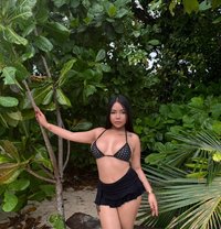 Cerina New Ladyboy in Phuket - Transsexual escort in Phuket
