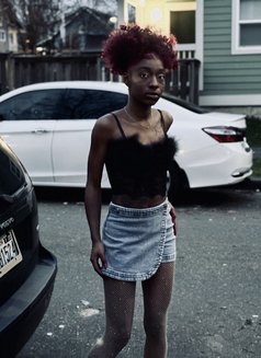 Ceto - companion in Dubai Photo 8 of 11