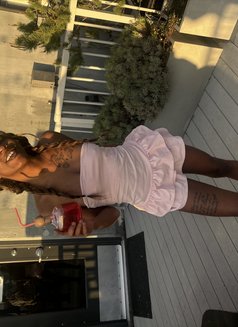 Ceto - companion in Dubai Photo 10 of 11