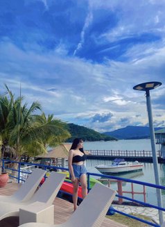 Chaay - Transsexual escort in Manila Photo 1 of 7