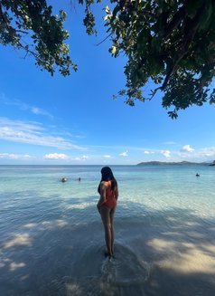 Chaay - Transsexual escort in Manila Photo 7 of 7