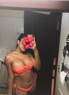 Chalani Only Cam Session - escort in Colombo Photo 4 of 10