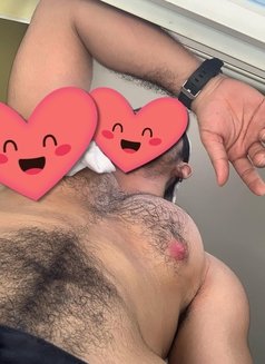 Love Bear (free session for tonight) - Acompañantes masculino in Colombo Photo 4 of 7